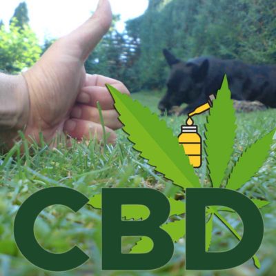 Huile de CBD pour chiens de traindee avec cannabidiol comme alimentation complémentaire pour les animaux souffrant de stress, de tension et de nervosité. Sans THC, cannabis de chanvre.