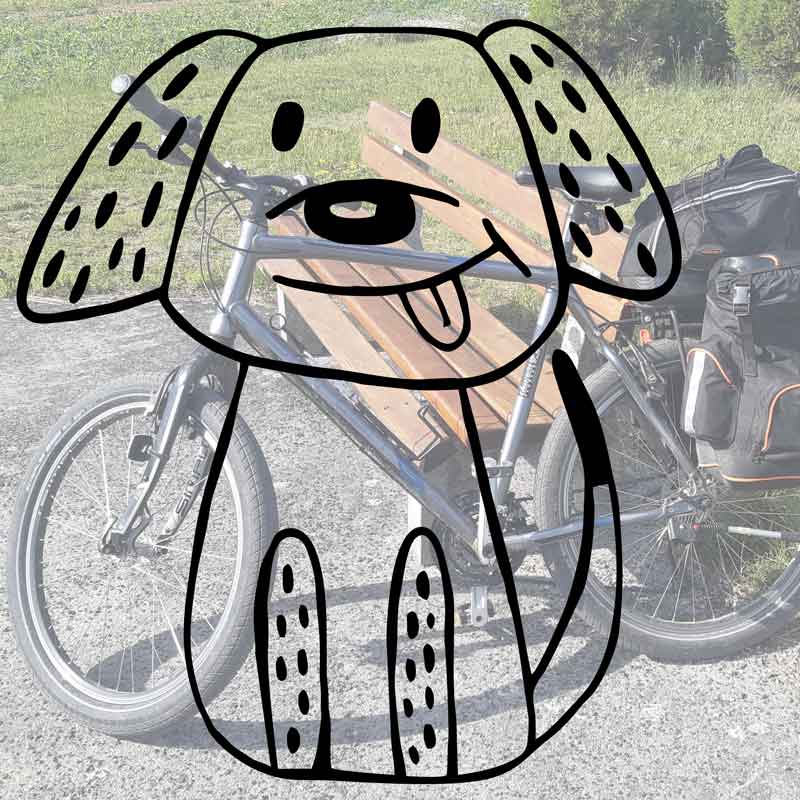 Ist Radfahren mit dem Hund an der Leine in Österreich verboten?